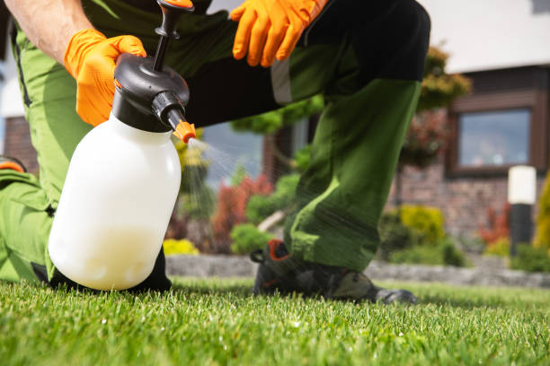 Best Pest Control Near Me  in Atlantic City, NJ