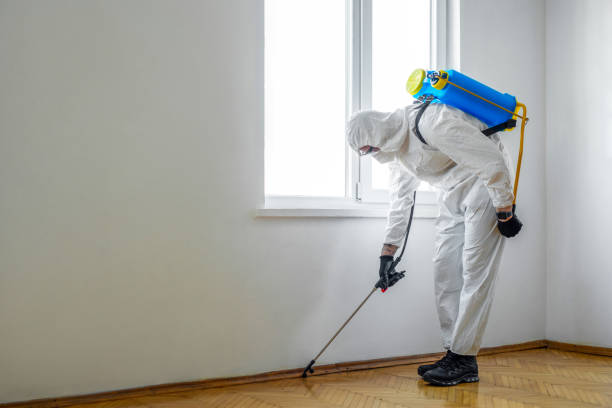 Best Best Pest Control Companies  in Atlantic City, NJ