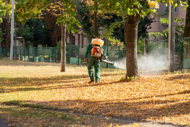 Best Best Pest Control Companies  in Atlantic City, NJ