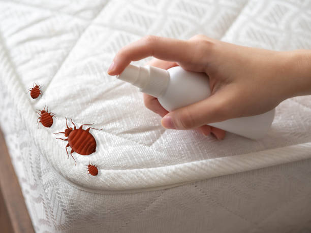 Best Cockroach Control Services  in Atlantic City, NJ
